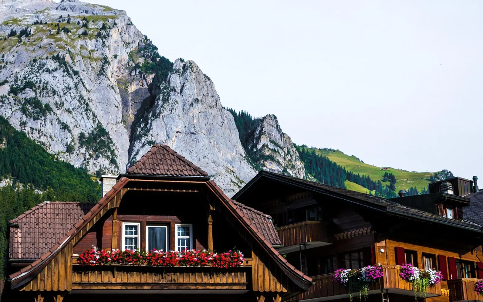 Swiss farmhouse, mountains and chalet