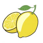 The Versatile Meyer Lemon Tree